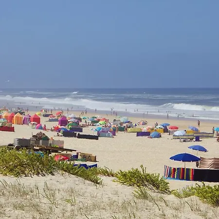 Σπίτι διακοπών House Tocha *