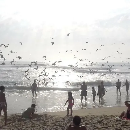 House Tocha Palheiros da Tocha