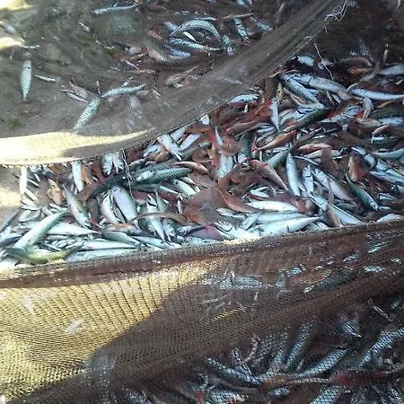 House Tocha Palheiros da Tocha