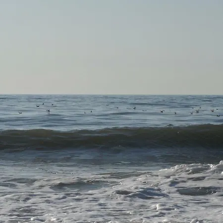 Σπίτι διακοπών House Tocha *