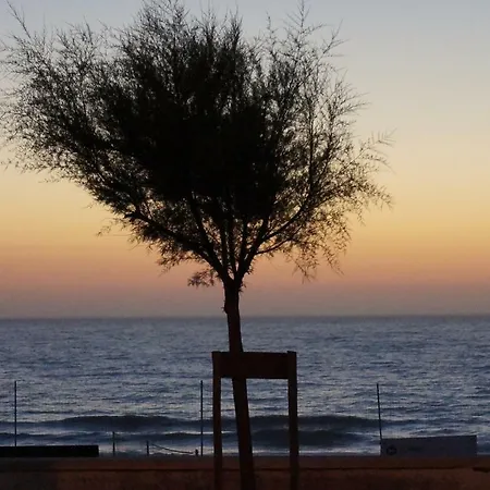 Σπίτι διακοπών House Tocha Palheiros da Tocha