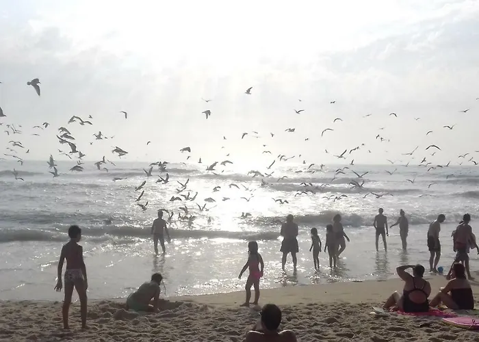 House Tocha Palheiros da Tocha